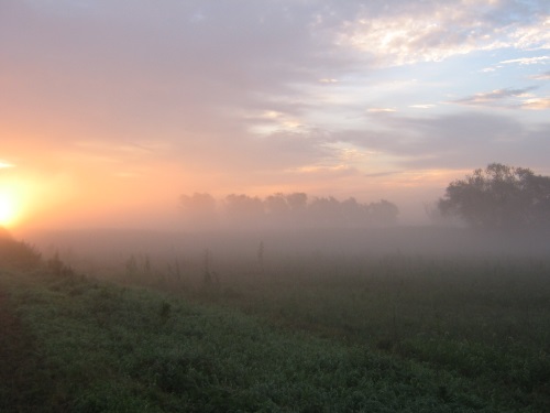 misty sunrise